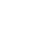 Association for the Advancement of Artificial Intelligence (AAAI)